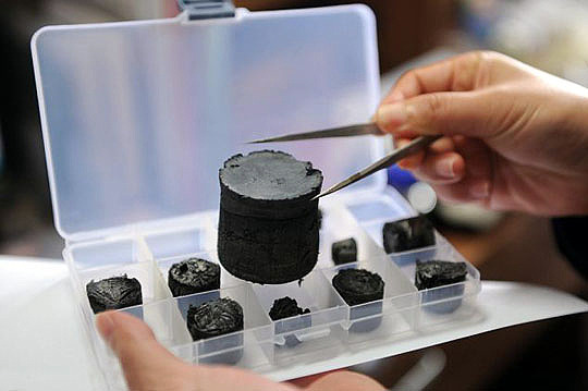 Imagem da notícia 4